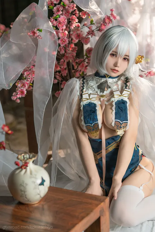 小仓千代w – 天狼星旗袍 [20P] - 机器猫次元