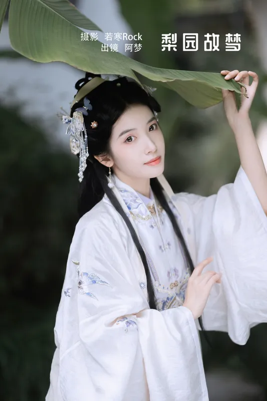 一只阿梦崽 – 《梨园故梦》[33P] - 机器猫次元