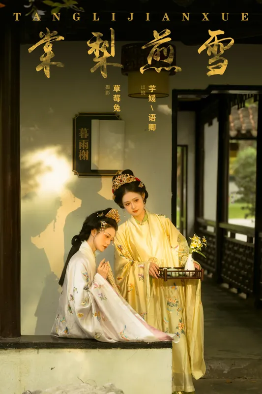 语卿 芋媛一碗 – 《棠梨煎雪》[22P] - 机器猫次元