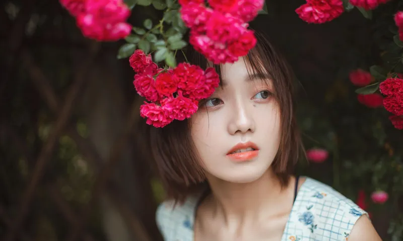 echo – 《青雉》[18P] - 机器猫次元