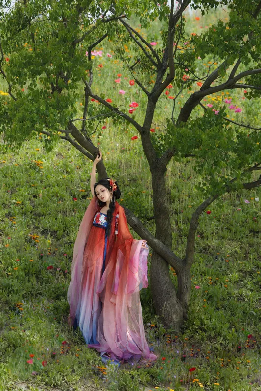 羊羊 - 《虞美人》[16P]