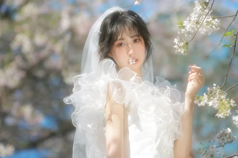 小庞 - 《白樱恋歌》[16P]