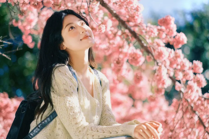 豆芽菜iFrc - 《冬樱》[22P]