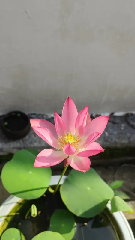 user02234的头像 - 机器猫次元