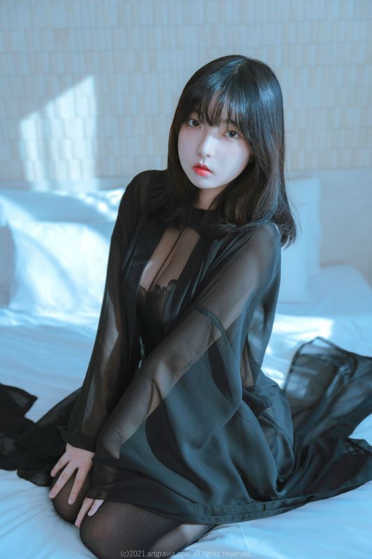 [ARTGRAVIA] Hansom [93P] - 机器猫次元