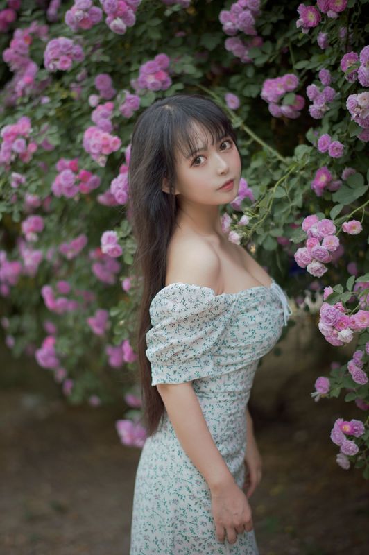 黑猫猫OvO – 蔷薇2 [27P]