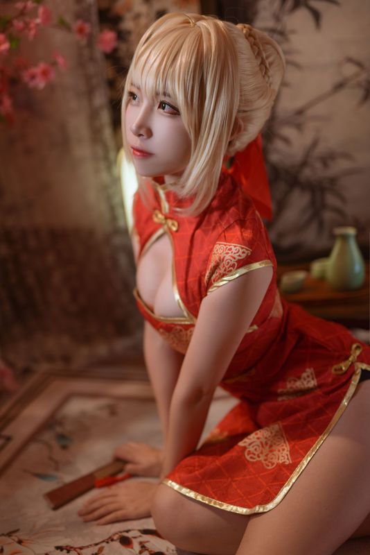 二佐Nisa Fate尼禄旗袍 [20P] - 机器猫次元