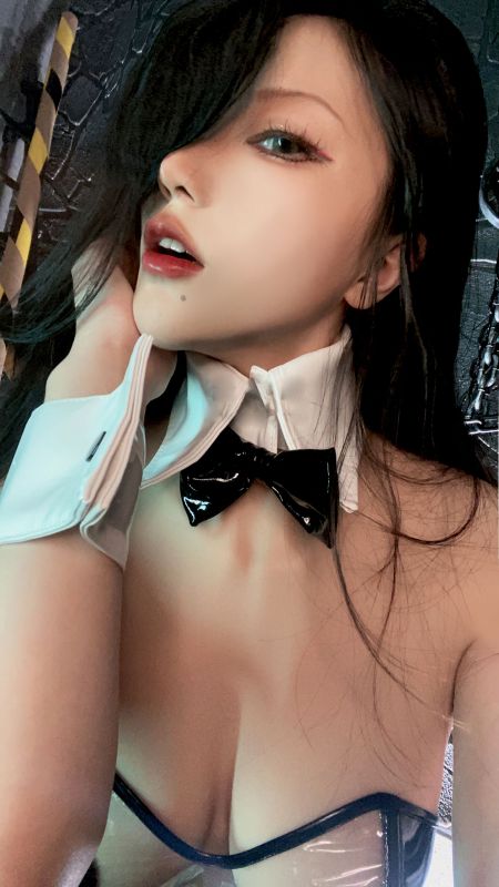 起司块wii – 透明兔女郎 [33P] - 机器猫次元