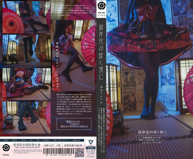木花琳琳是勇者 – 彼岸花の咲く夜に [66P] - 机器猫次元