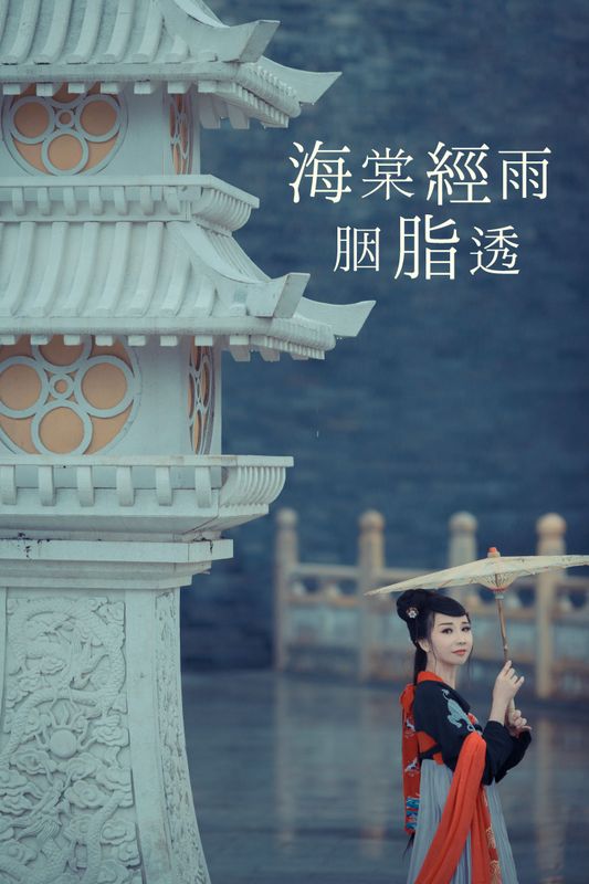 v唱小游v – 《海棠经雨胭脂透》[39P] - 机器猫次元