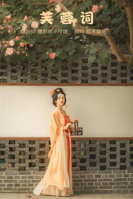 修水凝花 – 《芙蓉词》[38P] - 机器猫次元