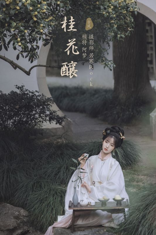 一只阿梦崽 – 《桂花酿》[36P] - 机器猫次元