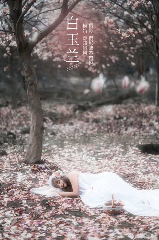 走路带风 – 《白玉兰》[25P] - 机器猫次元