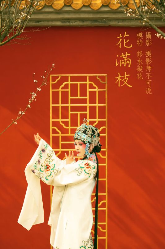 修水凝花 – 《花满枝》[23P] - 机器猫次元