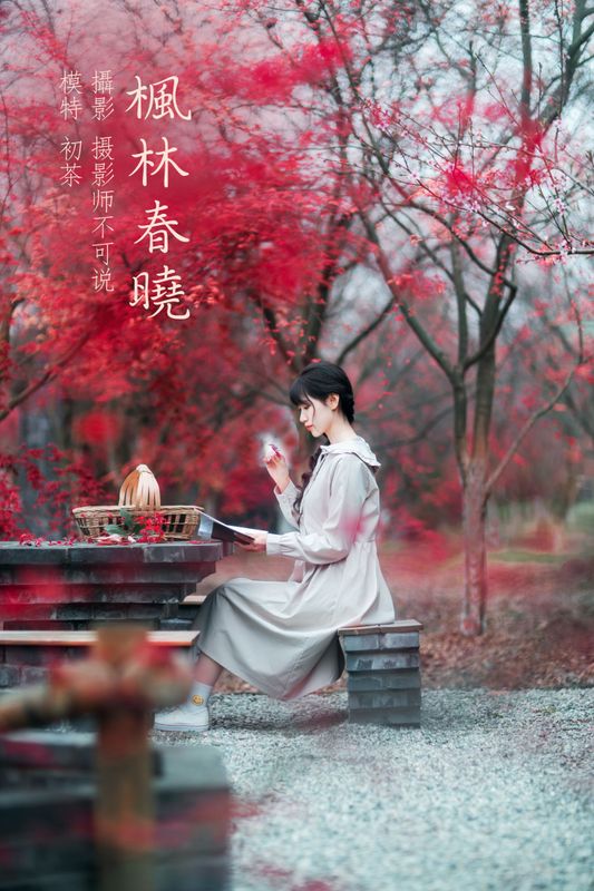 初茶 – 《枫林春晓》[39P] - 机器猫次元