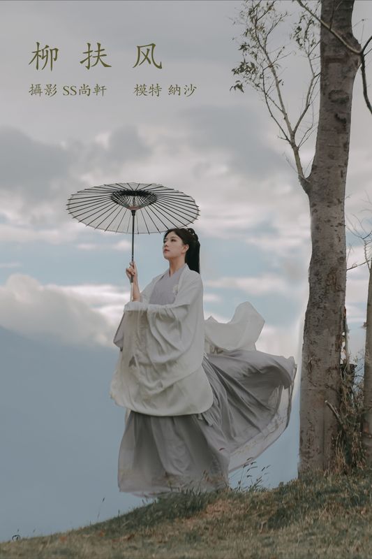 纳沙 – 《柳扶风》[35P] - 机器猫次元