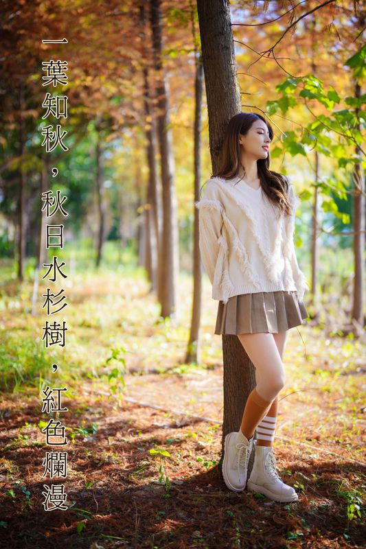滕静 – 《一叶知秋，秋日水杉树，红色烂漫》[50P] - 机器猫次元