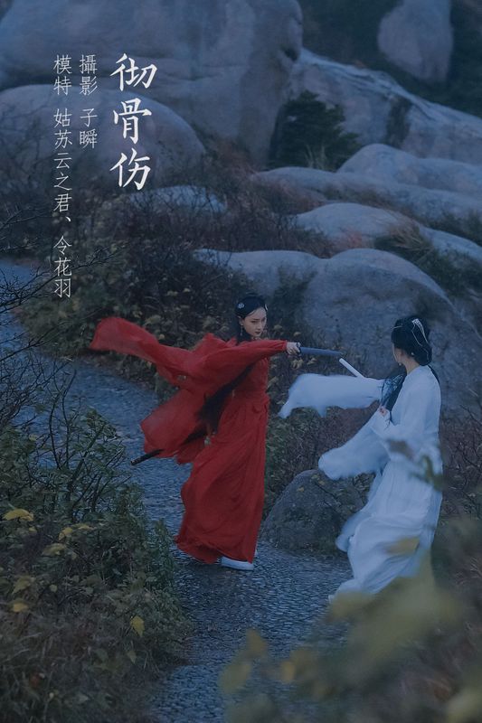 云之是小狐狸吖 令花羽 – 《 彻骨伤》[22P]