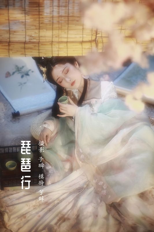 兮兮兮辞_ – 《琵琶行》[22P] - 机器猫次元