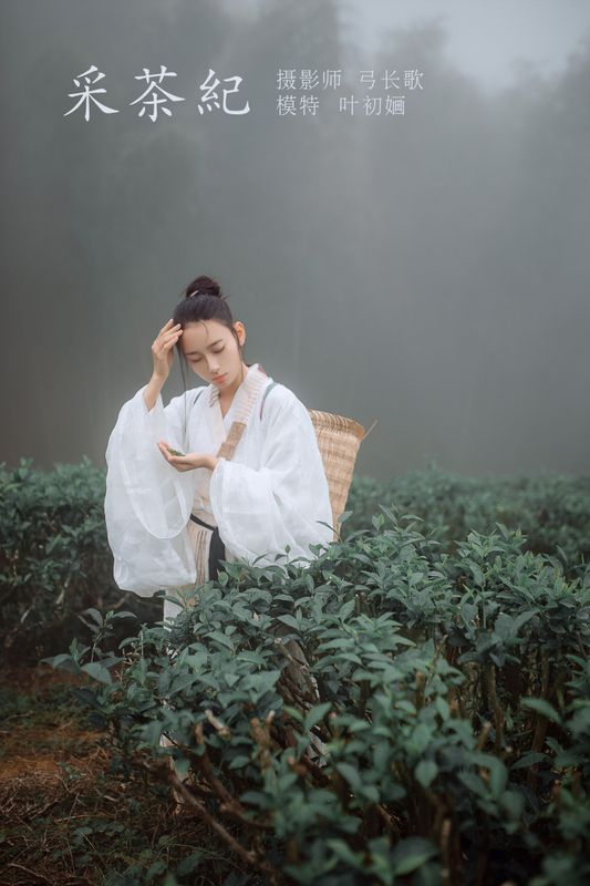 叶初婳 – 《采茶纪》[23P] - 机器猫次元