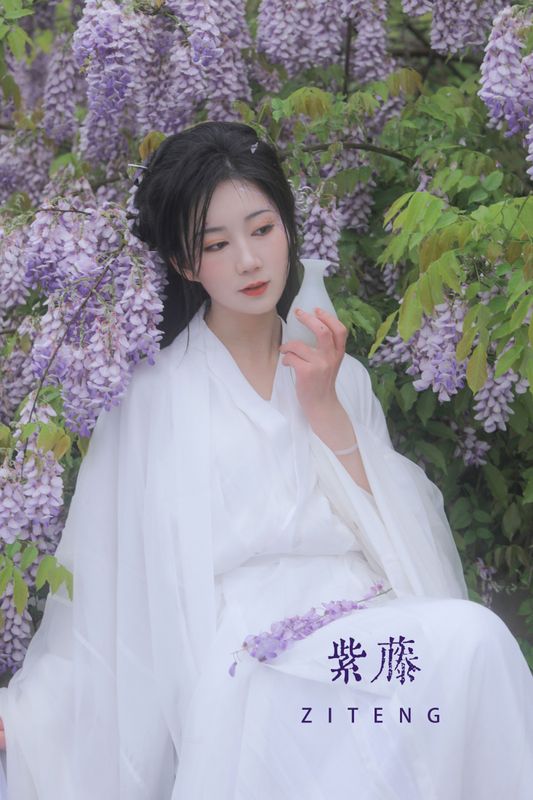 文鱼 – 《紫藤》[25P] - 机器猫次元