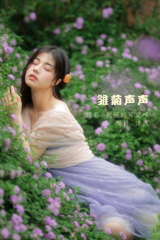 清浅IIL – 《雏菊声声》[25P] - 机器猫次元