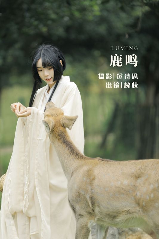 槐枝- – 《鹿鸣》[27P] - 机器猫次元