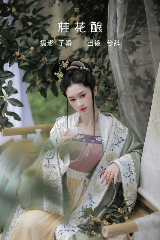 兮兮兮辞_ – 《桂花酿》[29P] - 机器猫次元