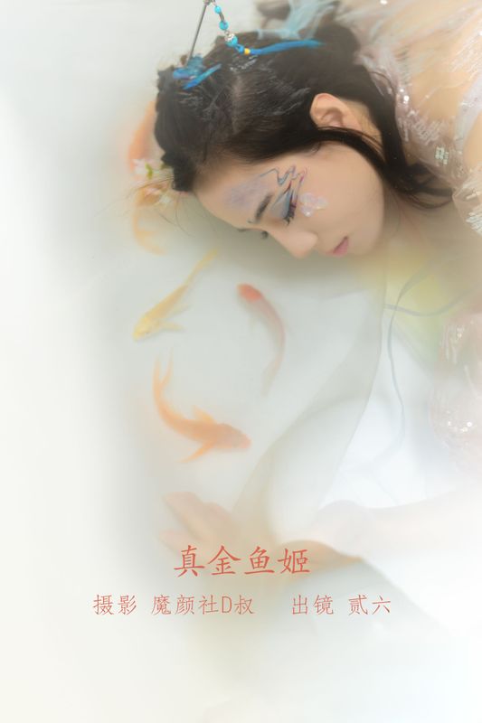 贰加六 – 《真金鱼姬》[28P] - 机器猫次元