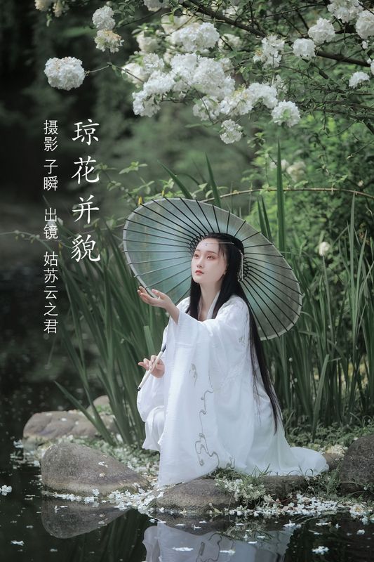 云之是小狐狸吖 – 《琼花并貌》[22P] - 机器猫次元