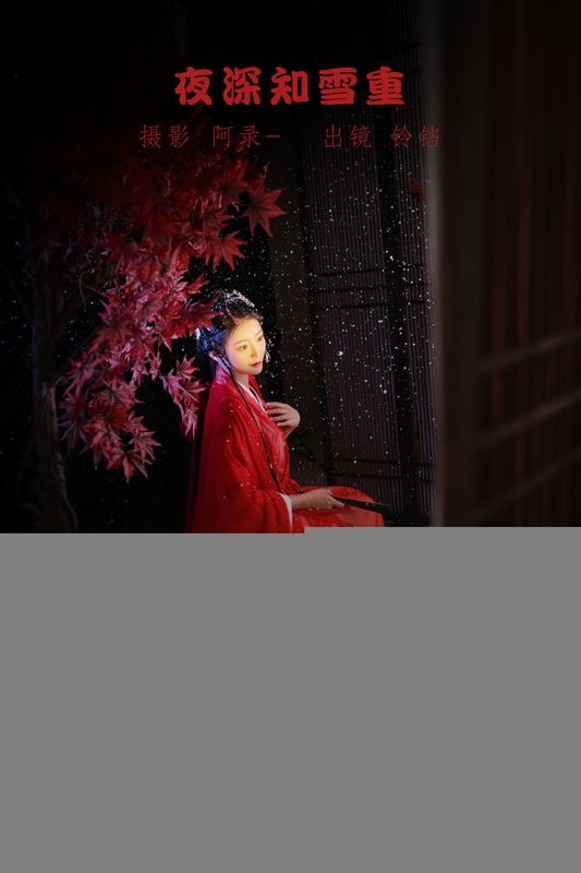 nya酱的铃铛铛 – 《夜深知雪重》[22P]