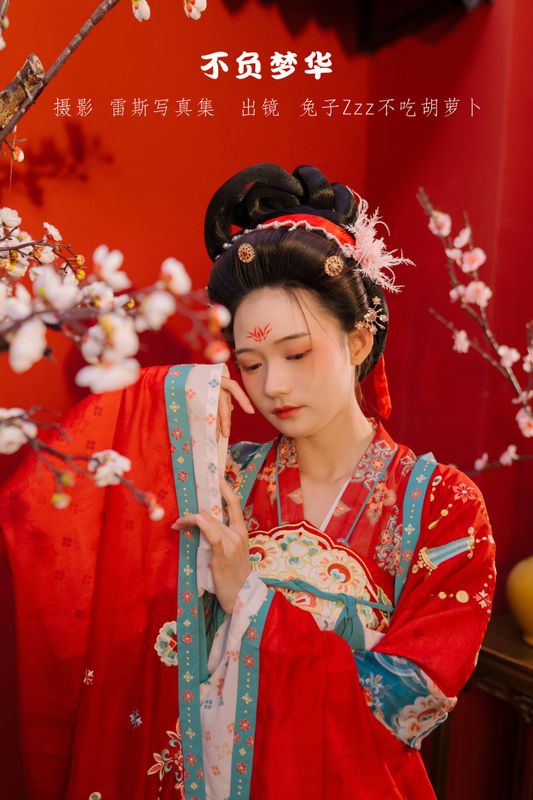 兔子Zzz不吃胡萝卜 – 《不负梦华》[23P] - 机器猫次元
