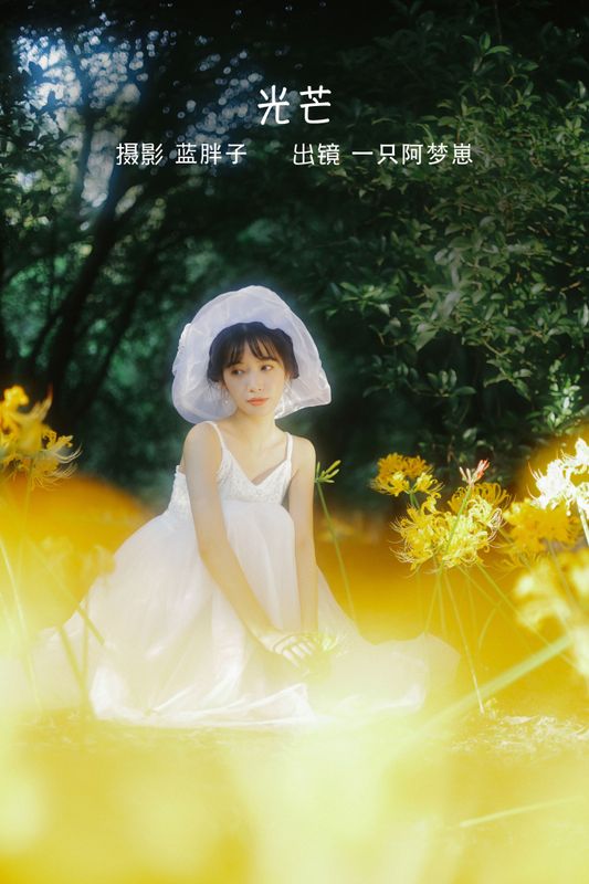 一只阿梦崽 – 《光芒》[41P] - 机器猫次元