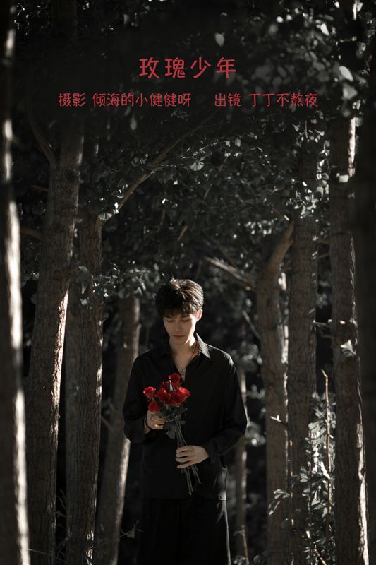 丁丁不刷牙 – 《玫瑰少年》[25P] - 机器猫次元