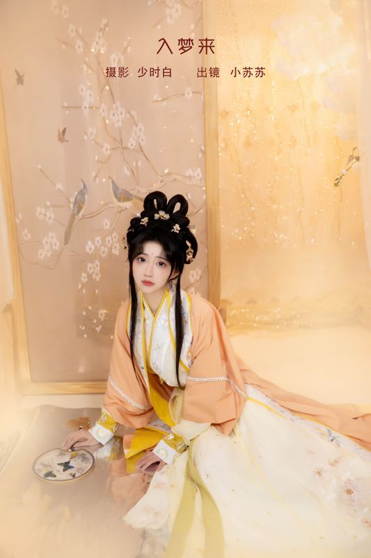 绮罗生的小苏苏 – 《入梦来》[29P] - 机器猫次元
