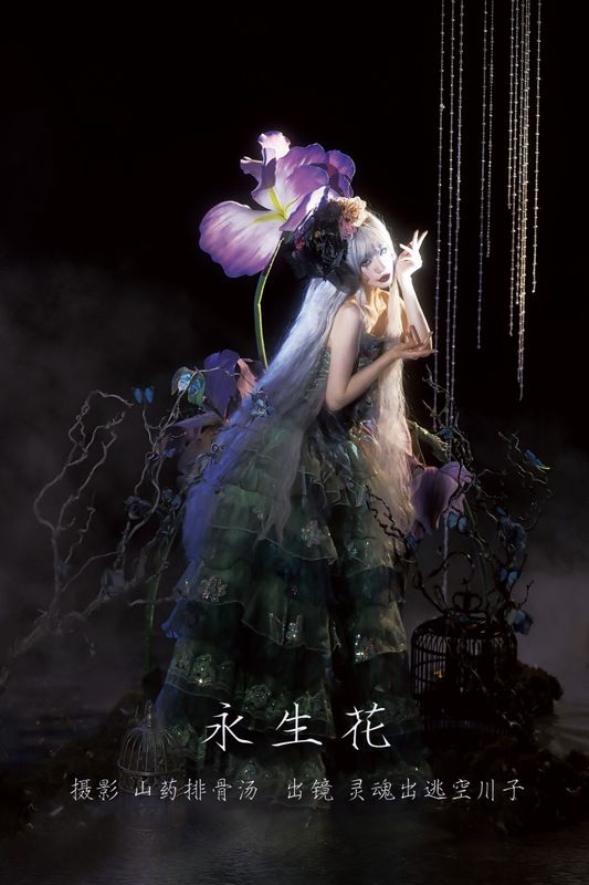 灵魂出逃空川子 – 《永生花》[22P] - 机器猫次元