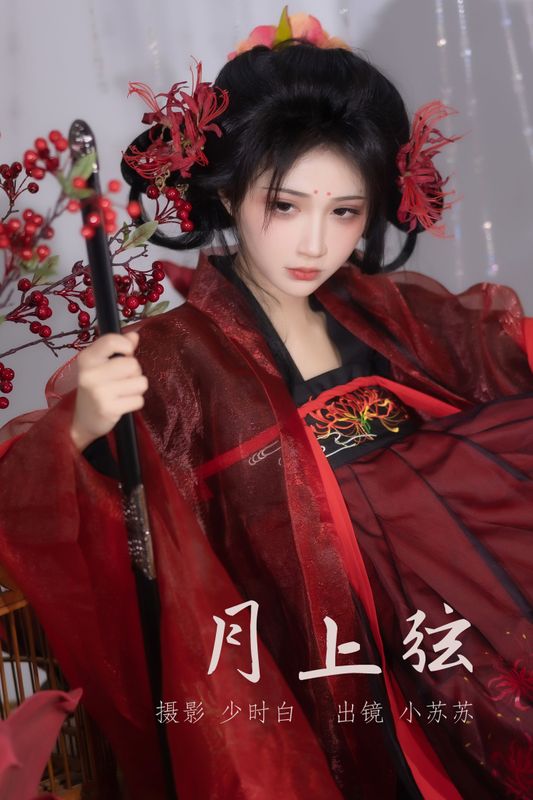 绮罗生的小苏苏 – 《月上弦》[24P] - 机器猫次元