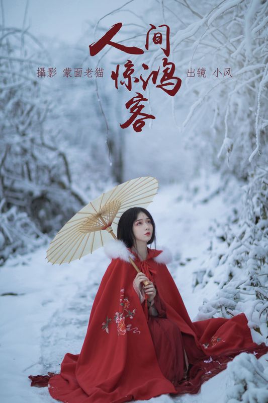 小风加载中 – 《人间惊鸿客》[21P]