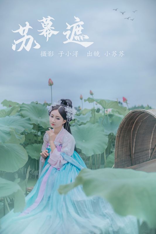 绮罗生的小苏苏 – 《苏幕遮》[21P] - 机器猫次元