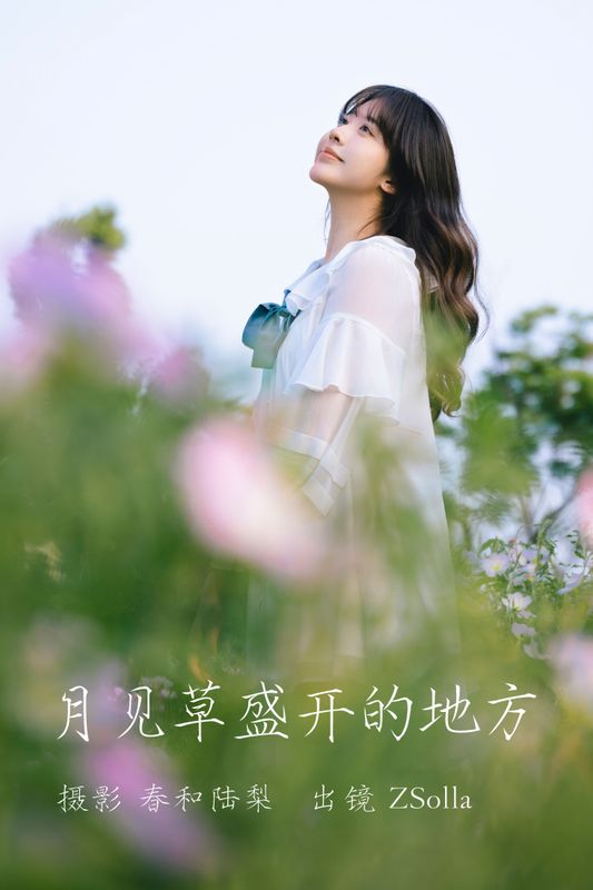 Z_Solla – 《月见草盛开的地方》[20P] - 机器猫次元