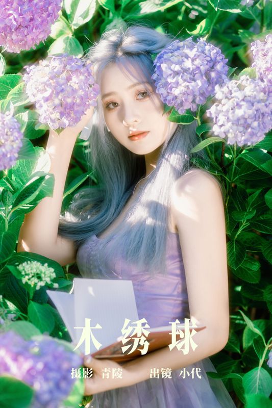 羔丽代 – 《木绣球》[31P]