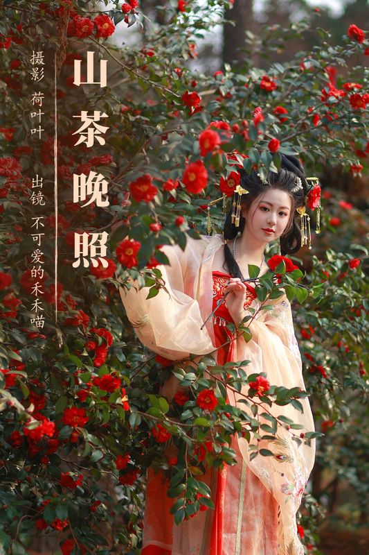 不可爱的禾禾喵 – 《山茶晚照》[27P] - 机器猫次元