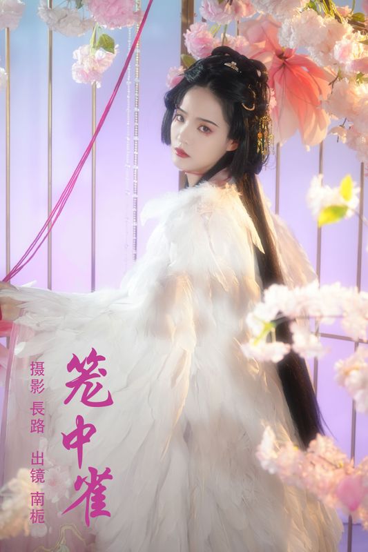 南栀 – 《笼中雀》[20P]