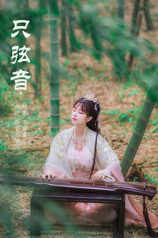 公子不坏 – 《只弦音》[22P] - 机器猫次元