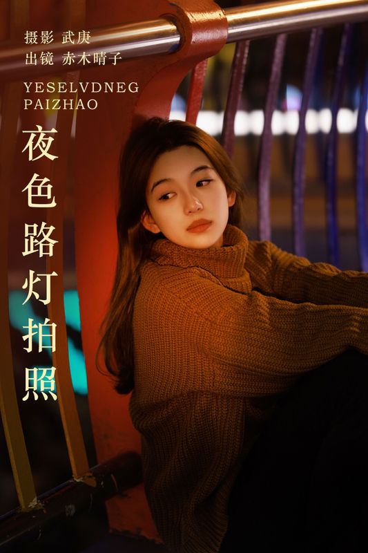 赤木晴子 – 《夜色路灯拍照》[22P] - 机器猫次元