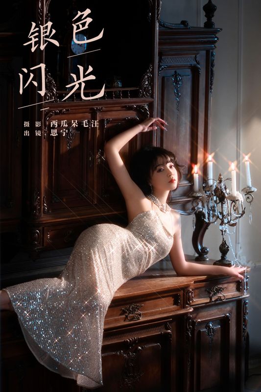 Disexi思宁 – 《银色闪光》[33P] - 机器猫次元