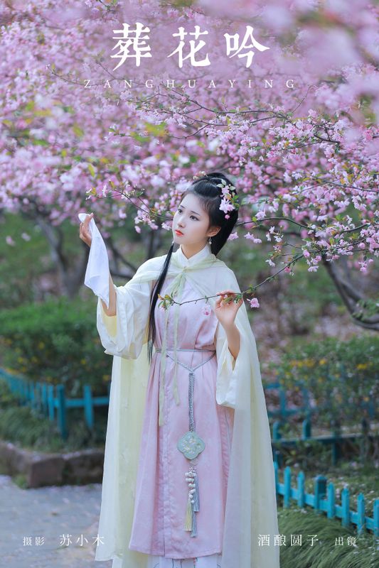 酒酿圆子 – 《葬花吟》[25P] - 机器猫次元