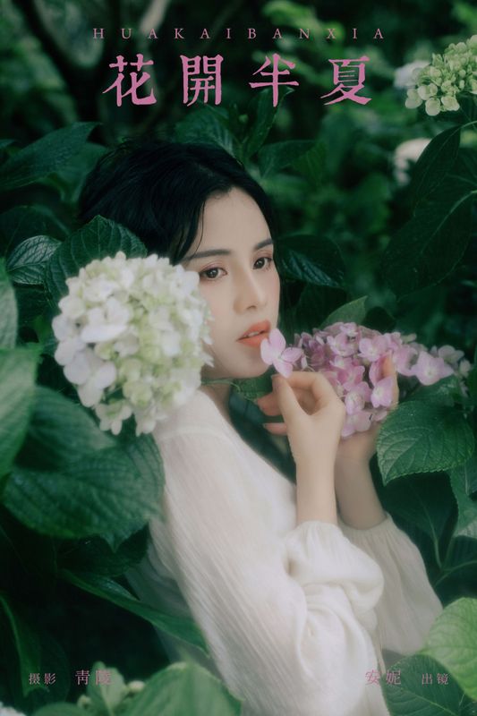 安妮 – 《花开半夏》[24P]