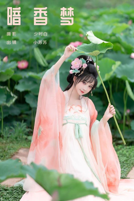 绮罗生的小苏苏 – 《暗香梦》[27P] - 机器猫次元