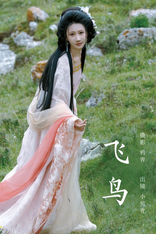 小贝壳请不要放弃 – 《飞鸟》[22P] - 机器猫次元